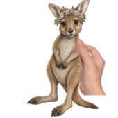 Australisches Känguru Golf Headcover