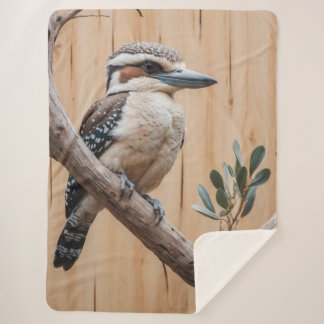 Australisches Kookaburra in einer Baumart Sherpadecke