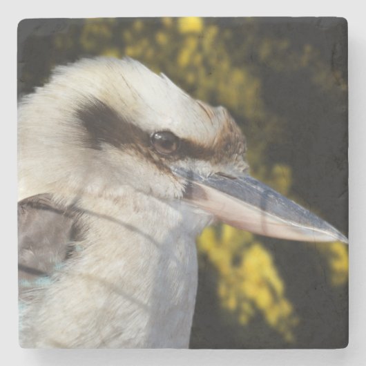 Australisches Lachen Das Kookaburra, Steinuntersetzer (Vorderseite)