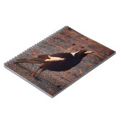 Australisches Magpie-Notebook Notizblock (Linke Seite)