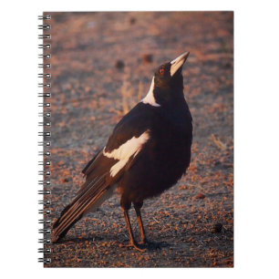 Australisches Magpie-Notebook Notizblock