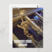 Australisches Museum in Sydney Australien Postkarte (Vorne/Hinten)