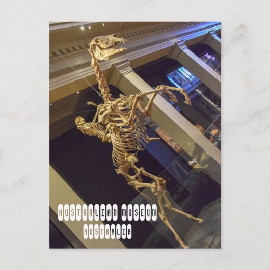 Australisches Museum in Sydney Australien Postkarte (Vorderseite)
