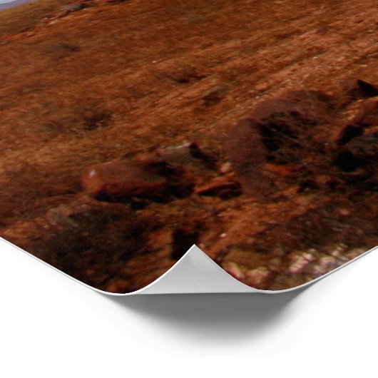 Australisches Outback Flinders Ranges Poster (Ecke)