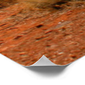 Australisches Outback Poster (Ecke)