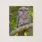 Australisches Owl Puzzle (Vertikal)
