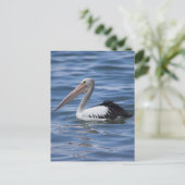 Australisches Pelican Postkarte (Stehend Vorderseite)