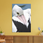 Australisches Pelikan nah Leinwanddruck (Insitu (Wohnzimmer))