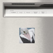 Australisches Pelikan nah Magnet (In Situ (Geschirrspüler))