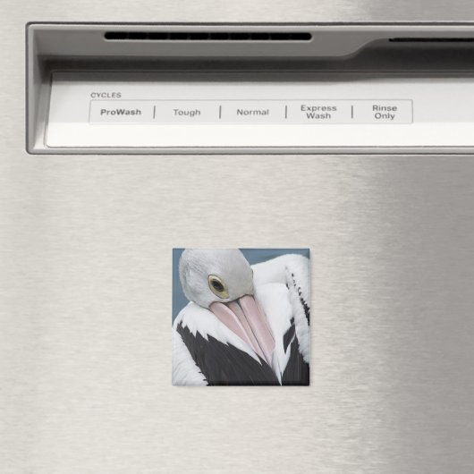 Australisches Pelikan nah Magnet (In Situ (Geschirrspüler))