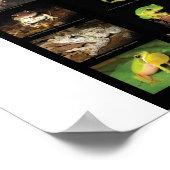 Australisches Poster (Ecke)