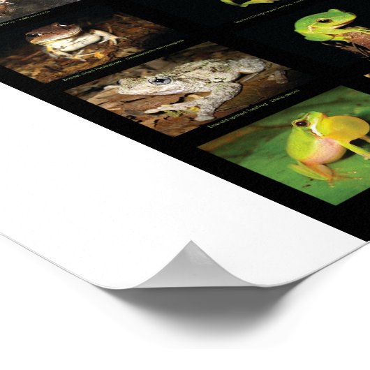 Australisches Poster (Ecke)