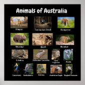 Australisches Poster (Vorne)