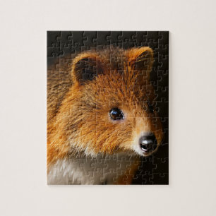 Australisches Quokka Portrait, Jigsaw Puzzle