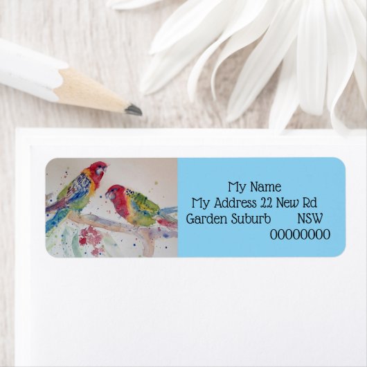 Australisches Rosella Parrot Bird (Insitu)