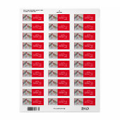 Australisches Rosella Parrot Bird (Vorne)