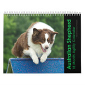 Australisches Schäfer-Agility 18 Kalender (Titelbild)