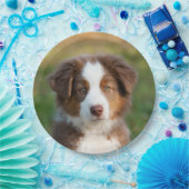 Australisches Schäferwelpenporträt, glückliches Pappteller (Party)