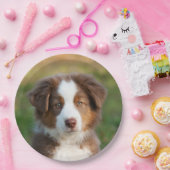 Australisches Schäferwelpenporträt, glückliches Pappteller (Party)