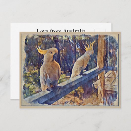 Australisches Schwefelkreuz Postkarte (Vorne/Hinten)