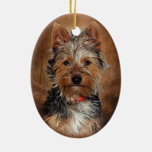 Australisches seidiges Terrier Keramikornament