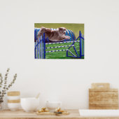 Australisches Shepherd Agility Dog Portrait Poster (Küche)