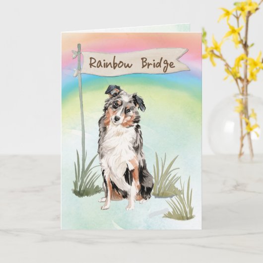 Australisches Shepherd Beileid über Regenbogen Karte (Gelbe Blume)
