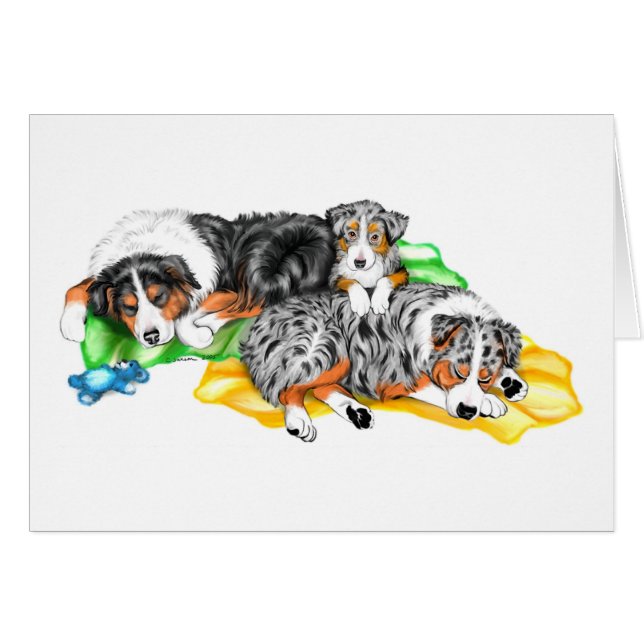 Australisches Shepherd Family Nickerchen (Vorderseite (Horizontal))