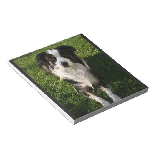 Australisches Shepherd Foto Notepad Notizblock (angewinkelt)