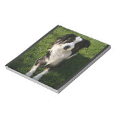 Australisches Shepherd Foto Notepad Notizblock (Rotiert)