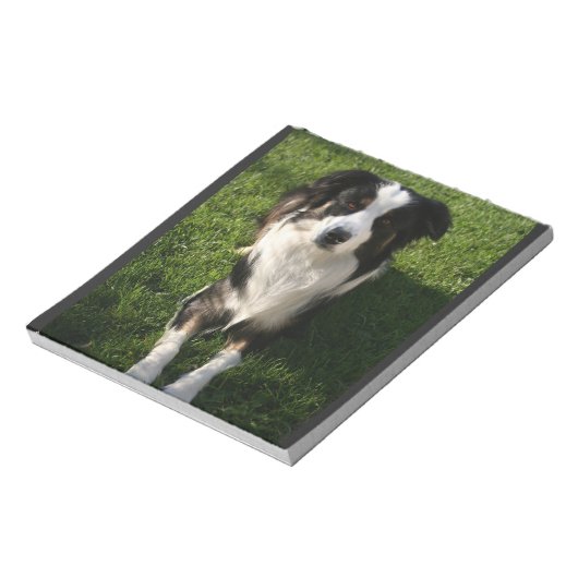 Australisches Shepherd Foto Notepad Notizblock (Rotiert)