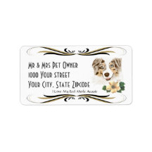 Australisches Shepherd Red Merle Address Label