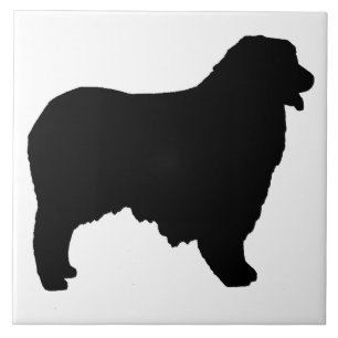 Australisches Shepherd-Silo Fliese