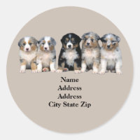 Australisches Shepherd Welppies Address Label