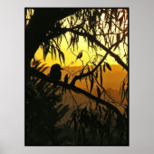 Australisches Solstice Sunset Poster (Vorne)