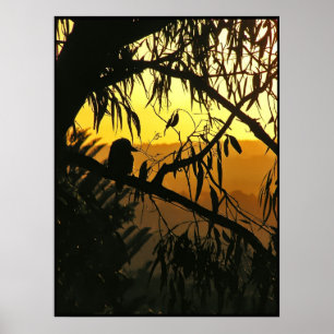 Australisches Solstice Sunset Poster