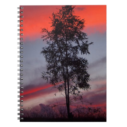 Australisches Stormy-Sunset-Notebook Notizblock (Vorderseite)