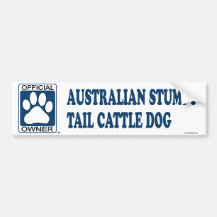 Australisches Stumpy Schwanz-Vieh-Hundeblau Autoaufkleber