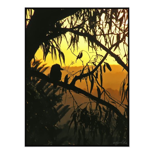 Australisches Sunset Kookaburra Silhouette Foto (Vorne)