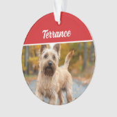Australisches Terrier Dog Holiday Weihnachtsgebäck Ornament (Vorderseite)