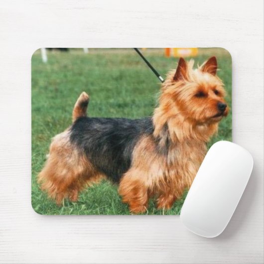Australisches Terrier Mousepad (Mit Mouse)