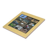 Australisches Vogelfoto-Collage Fliese (Seite)