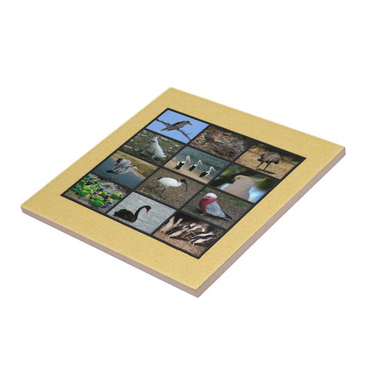 Australisches Vogelfoto-Collage Fliese (Seite)