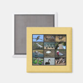 Australisches Vogelfoto-Collage Magnet (Vorderseite/Rückseite)