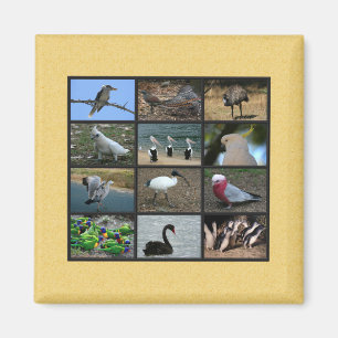 Australisches Vogelfoto-Collage Magnet