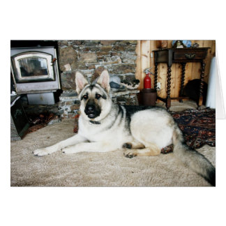 Australisches volles - Ansicht/Kamin