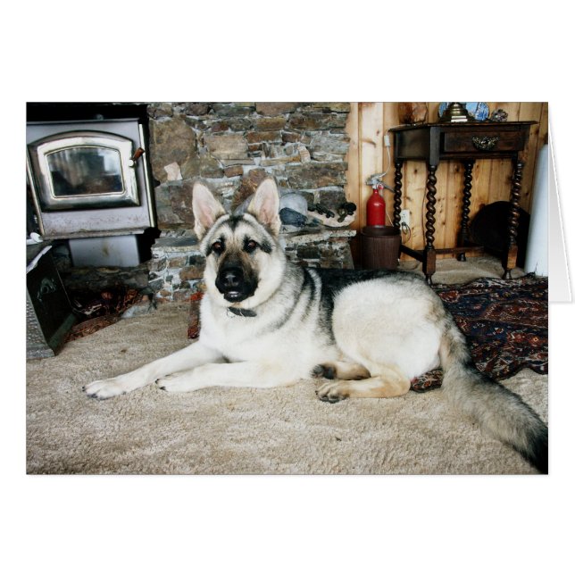 Australisches volles - Ansicht/Kamin (Vorderseite (Horizontal))