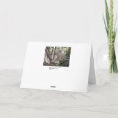 Australisches Weihnachten zu Ihnen Grußkarte (Rückseite)