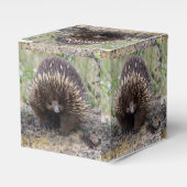 Australisches Wild-Echidna-Foto Geschenkschachtel (Vorderseite)
