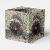 Australisches Wild-Echidna-Foto Geschenkschachtel (Rückseite)